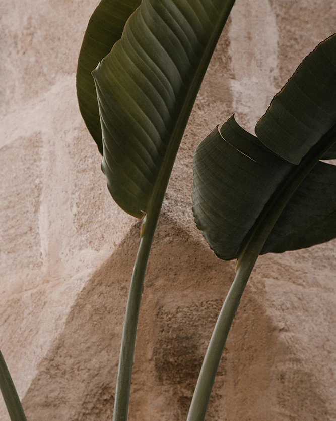 Webdesign für Coaches mit Fokus auf individuellen Markenauftritt und Klarheit